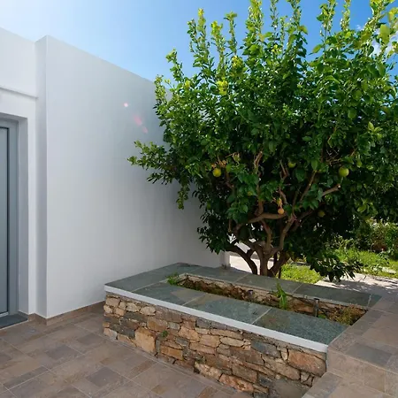 Apartamento Mosxa House